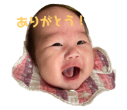 854596804