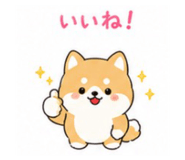 854600079