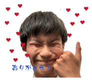854600537