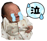 854601373