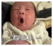 854602053