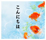 854603013