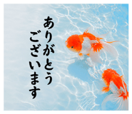 854603015