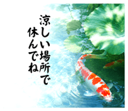 854603020