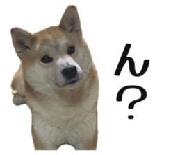854604098