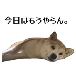 854604099