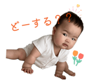 854604437