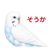 854605081