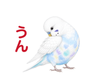 854605084