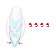 854605085