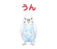 854605087
