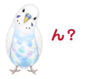 854605089