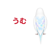 854605090