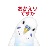 854605094