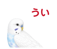 854605096