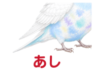 854605110