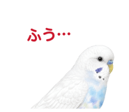 854605119
