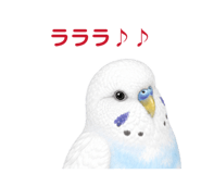 854605120