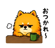 854606426