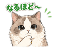854608266