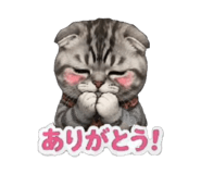 854611433