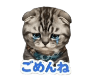 854611435