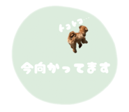 854611771