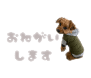 854611774
