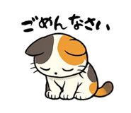 854612120