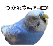 854613198