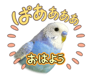 854613199