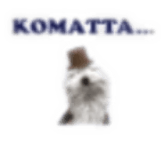 854613587