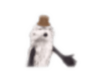 854613590