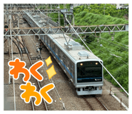 854614216