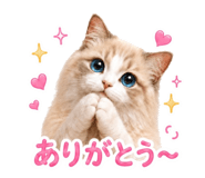 854614886