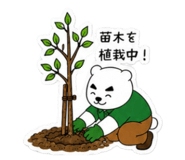 854615568