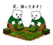 854615572