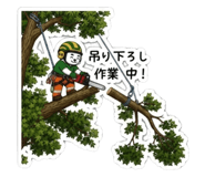 854615580