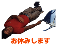 854617493