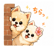 854618252