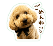 854618479