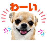 854620236