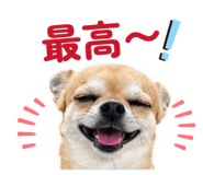 854620244