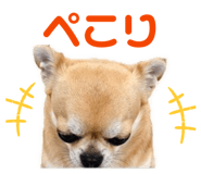 854620247