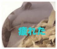 854620434