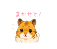 854622426