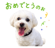 854622580