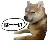 854622752