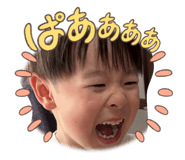 854623313