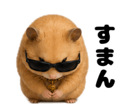 854625405